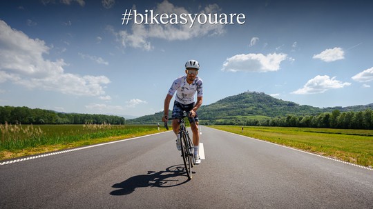 homepage article image